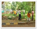 DETAILS OF PLANTATION DONE UNDER SWACCH BHARAT ABHIYAN AT STATE OFFICE/MDTC, BANGALORE.