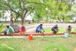 MASSIVE PLANTATION BY EMPLOYEES AT NI-MSME CAMPUS, 18th june 2018