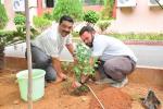 Plantation at opposite to New Training Building, 18th june 2018