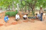 Plantation at electric sub-station in ni-msme campus, 18th june 2018