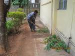 Swachhta Action Plan, Activities undertaken by Coir Board - 8 Swachhta Action Plan, Activities undertaken by Coir Board image 8