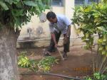 Swachhta Action Plan, Activities undertaken by Coir Board - 10 Swachhta Action Plan, Activities undertaken by Coir Board image 10
