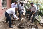 Cleanliness drives by Officeal of M/o MSME at Udyog Bhawan gate no. 8