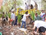 5th Day Removal of debris wherever available in the campus on 05/05/2016