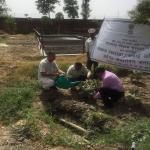 Swatch Bharat Pakhwara of MSME-DI, Karnal, June 2018 image 5