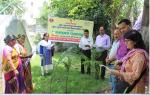 Swatch Bharat Pakhwara of MSME-DI, Haldwani, June 2018 image 6