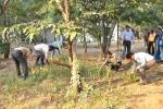 Cleanliness Drive near office of Livelyhood Business Incubator in ni-msme