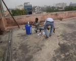 Roof - During Cleaning