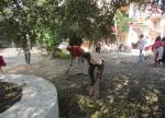 Day 4, Cleanliness Drives at MGIRI (south campus)