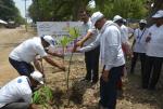 Plantation by officials of NSIC and MSME-DI Allahabad