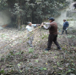  Cleaning Drive Activities on 06/12/2017