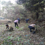 Cleaning Drive Activities on 07/12/2017 Cleaning Drive Activities on 07/12/2017