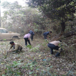 Cleaning Drive Activities on 07/12/2017