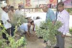 Plantation event at premises of New Delhi office.